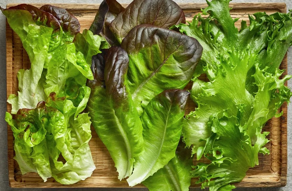 ¿Cuáles son las verduras de hoja verde más nutritivas?