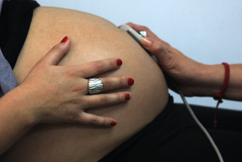 Plan de los mil días, de asistencia a embarazadas (AFP PHOTO/Claudio Santana)