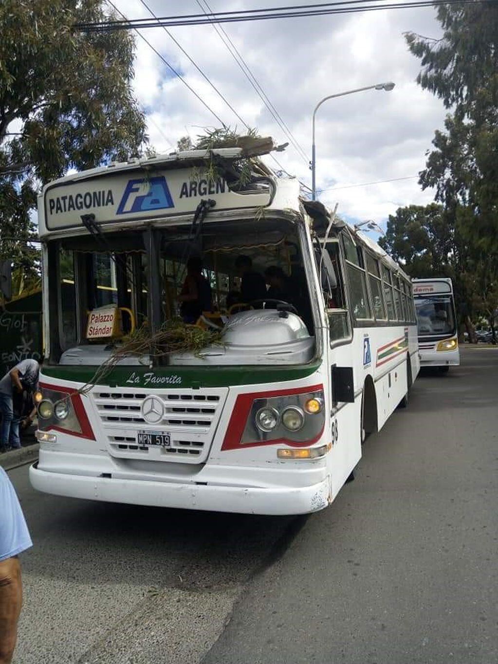 Trasporte público Comodoro