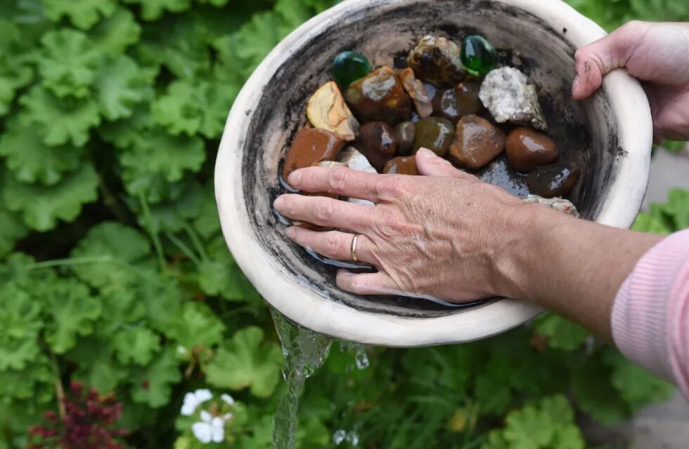 El descacharrado, clave para evitar el dengue