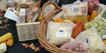 Salteños de la Puna producen una quinoa orgánica de alta calidad