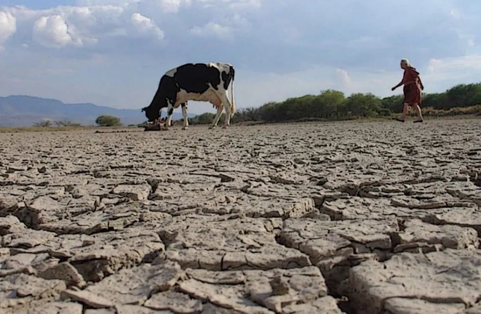 Las sequias son cada vez más frecuentes por la crisis climática