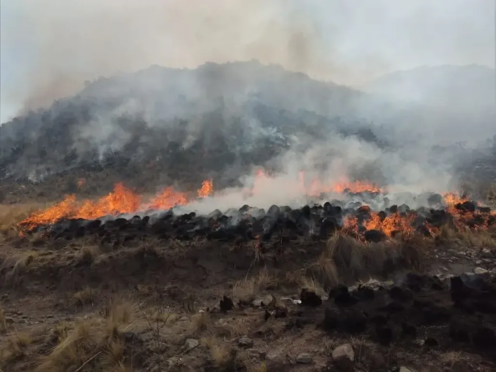 Las llamas comenzaron en tres zonas del departamento rural sanjuanino.