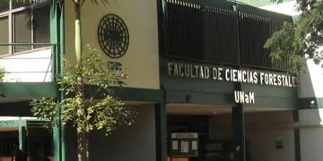 Eldorado: la Facultad de Ciencias Forestales abrió las preinscripciones a carreras para el ciclo 2022