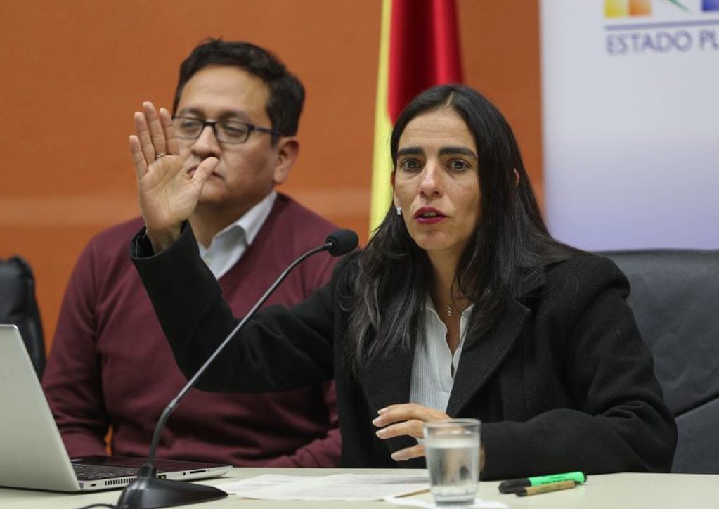 La ministra de Salud de Bolivia, Gabriela Montaño (d), habla junto al viceministro de Salud, Álvaro Terrazas, en una rueda de prensa este lunes en La Paz (Bolivia). EFE/Martín Alipaz