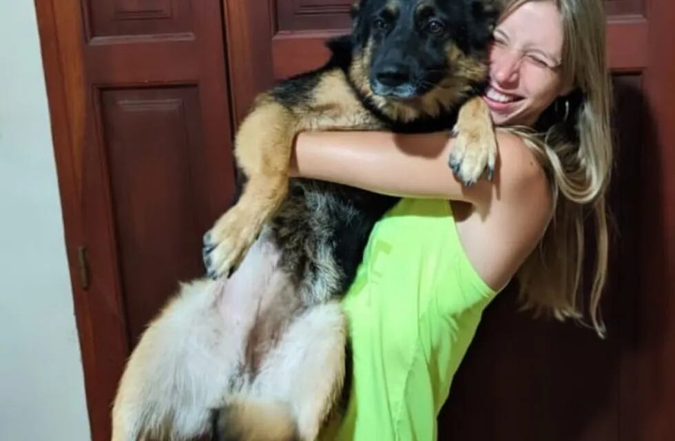 Había perdido a su perra, pero un año después apareció sorpresivamente en su casa. (Twitter @PaulaWilde1)