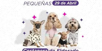 Eldorado: organizan un desfile en conmemoración del Día del Animal