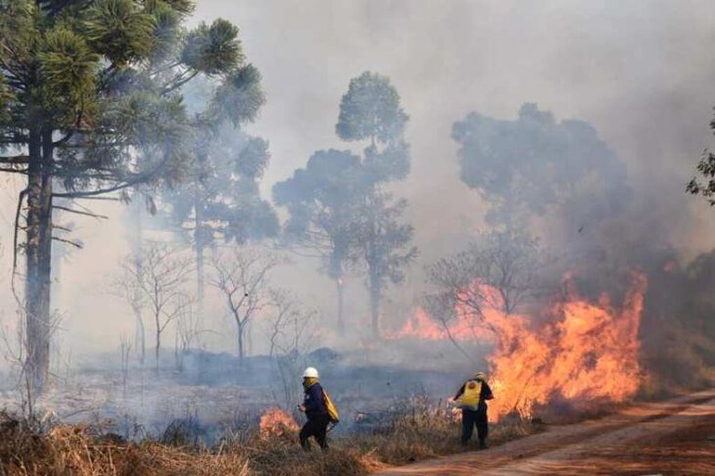Un nuevo foco de incendio afectó parte del Parque Provincial de la Araucaria.