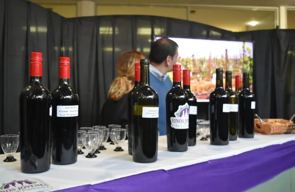 Degustación de vinos jóvenes pampeanos (Gobierno de La Pampa)