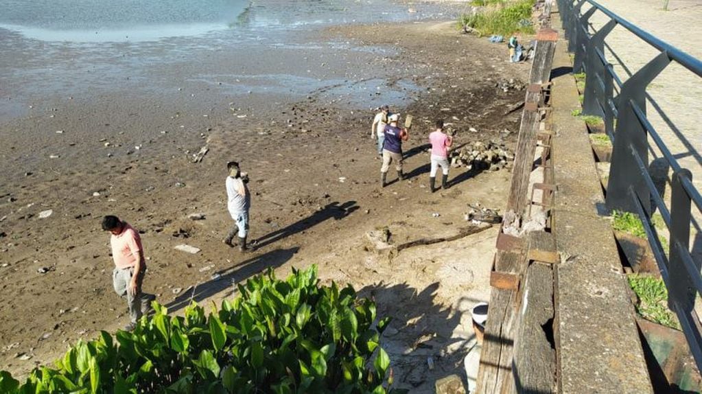 Limpieza del Río Gualeguaychú
Crédito: Prensa Municipal