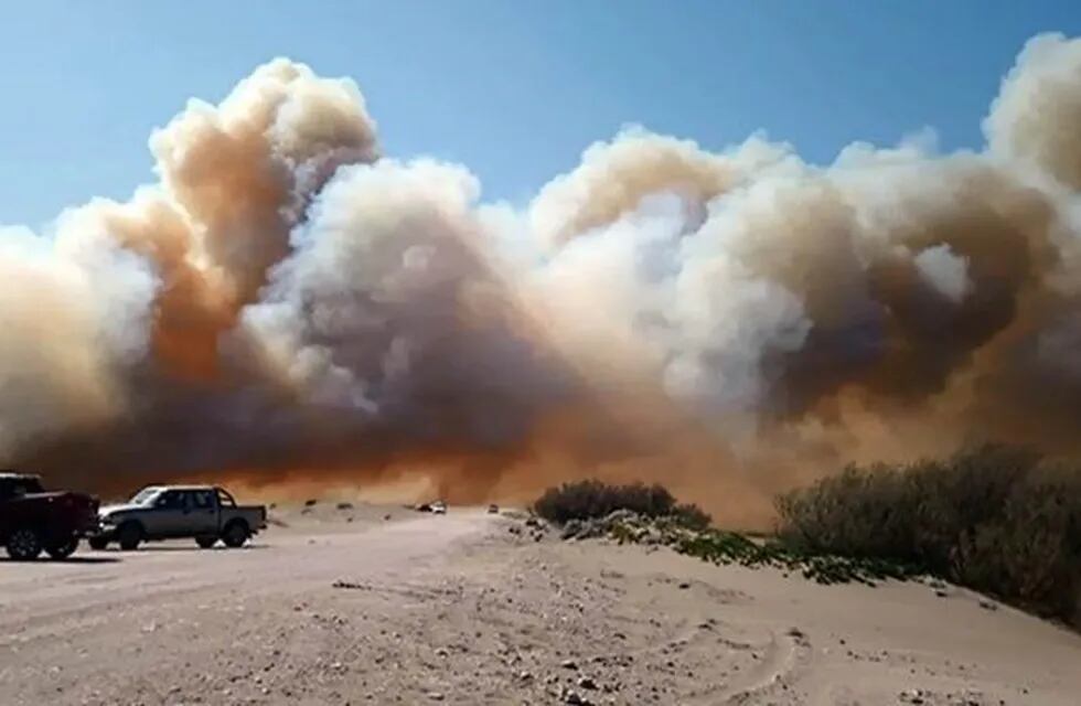 Incendio en el Vivero de Claromecó