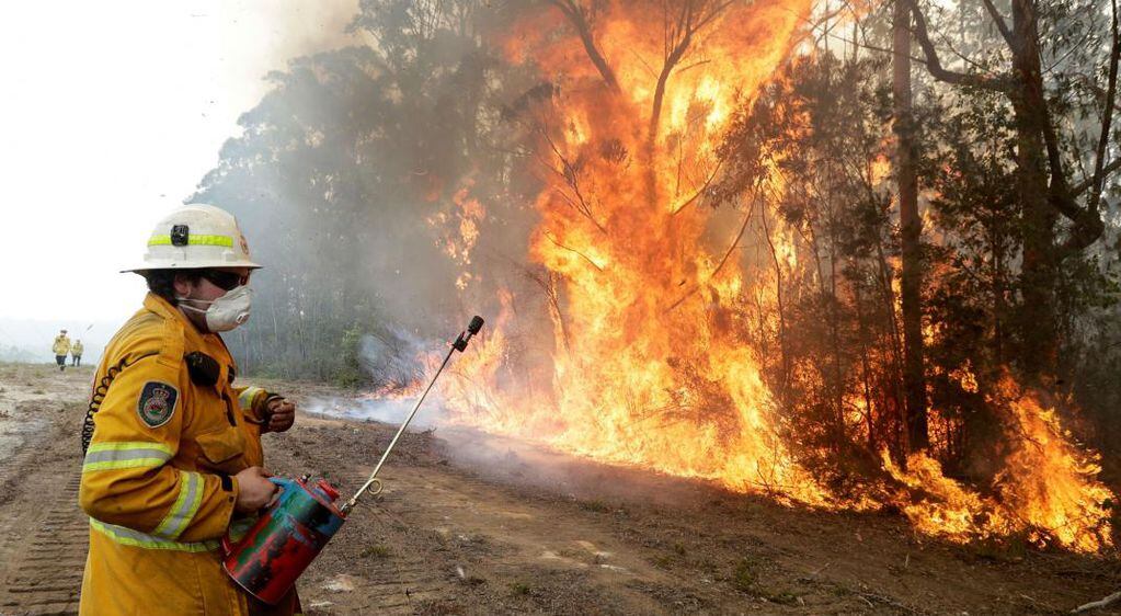 Las llamas acabaron con más de 24 millones de hectáreas en Australia. (AP/Archivo)