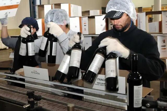  Bodegueros no lograron mejorar subsidios del Gobierno para exportar vino.