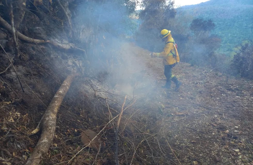 El 80 por ciento de los incendios rurales en Corrientes fueron extinguidos