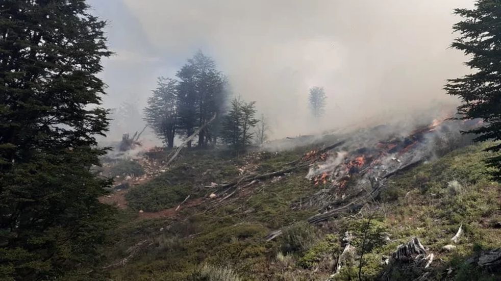Los incendios en Neuquén no logran ser controlados: ya se consumieron más de 3.000 hectáreas.