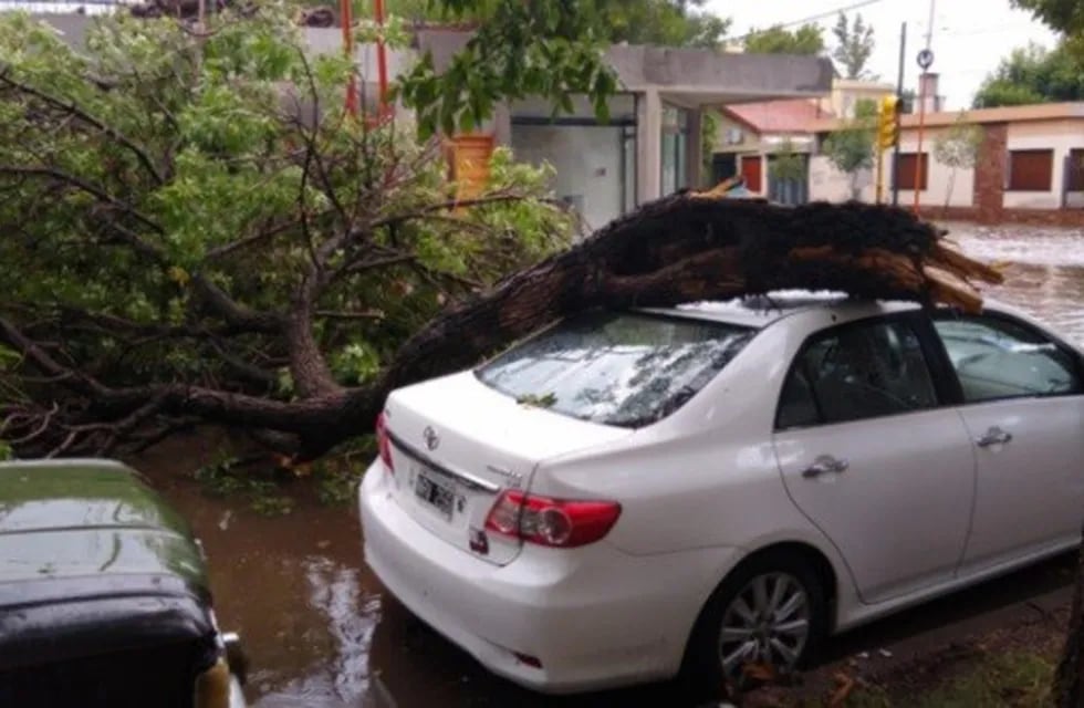 Diversos destrozos originó el fuerte temporal en Villa Mercedes, San Luis.
