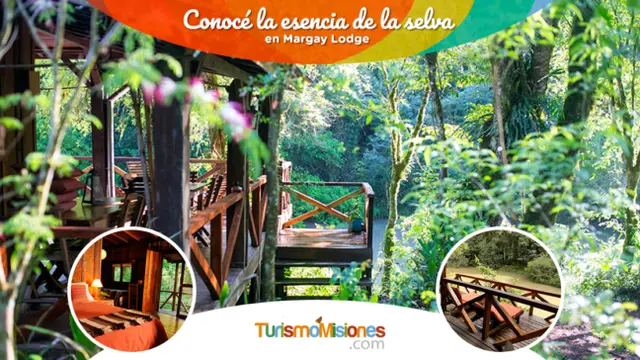 Conocé Margay Lodge en los Saltos del Moconá: el destino turístico que no vas a poder dejar de admirar