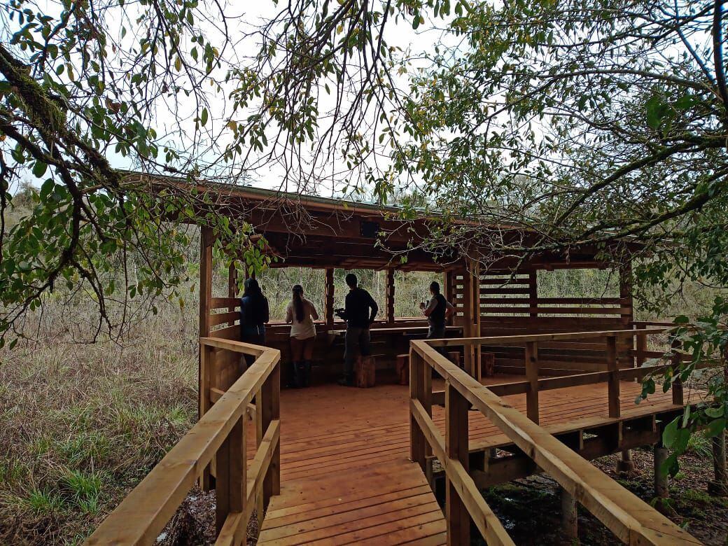 Parque Nacional Iguazú: habilitaron el nuevo mirador de aves Daniel “Pupi” Somay .