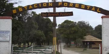 Jornada de forestación colectiva en el vivero de Claromecó