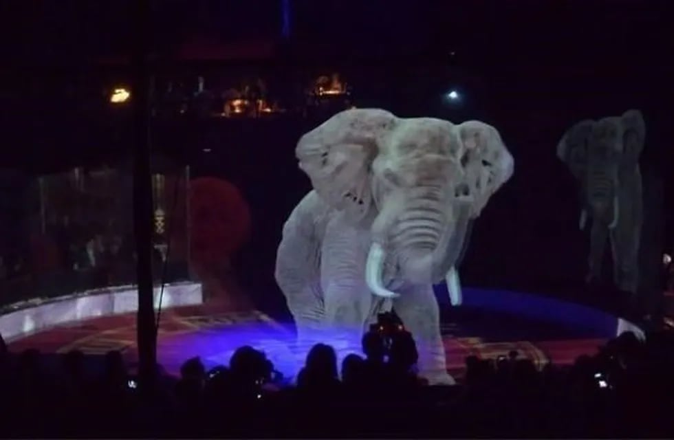 El circo alemán que reemplazó a los animales por hologramas para brindar una experiencia mágica, sin crueldad