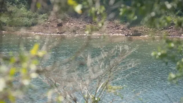 Un colombiano cayó en las aguas del Paraná y es intensamente buscado por la Prefectura en Eldorado