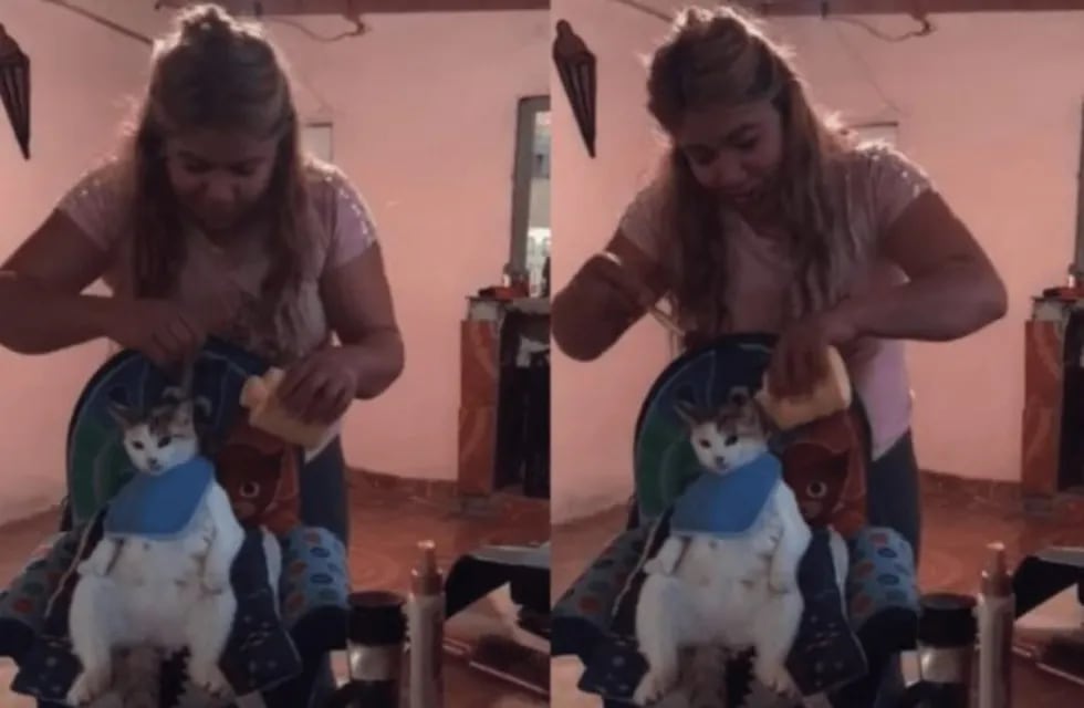 Viral: una peluquera sin clientes por la cuarentena le corta el pelo a sus mascotas