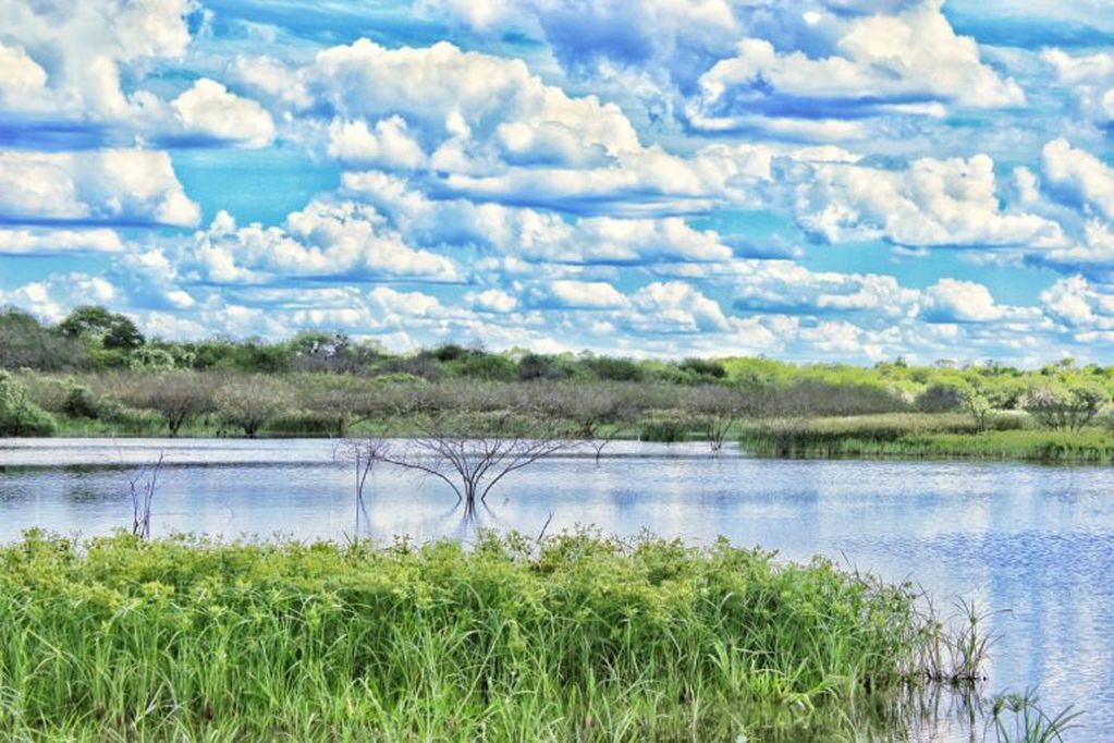 Una aguada en el Parque Nacional Chaco.