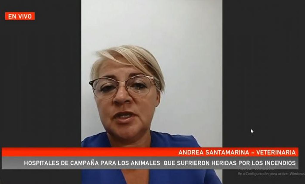 Andrea Santamarina, veterinaria de Corrientes, advierte sobre estafas en hospitales de animales en Iberá.