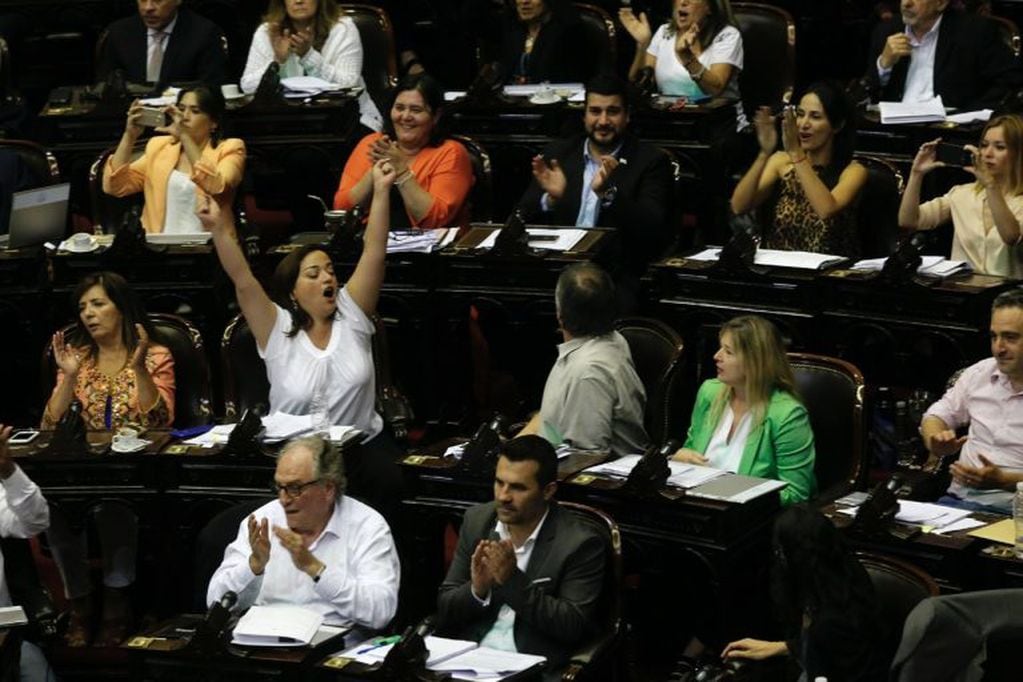 Diputados oficialistas celebran la media sanción a la ley de Emergencia Económica. (Clarín)