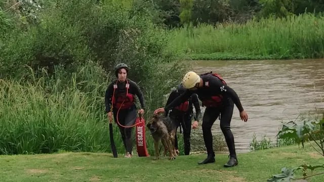 Bomberos de Arroyito salvaron un perro atrapado en la costa del Río Xanaes