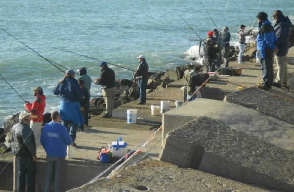Desbarataron una organización dedicada al contrabando de productos pesqueros en Mar del Plata
