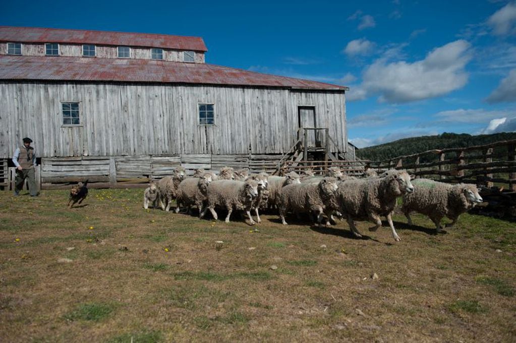 Tierra del Fuego: estancia Las Hijas