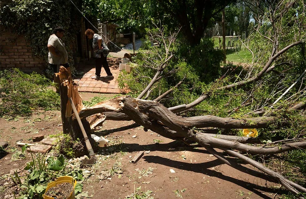 Fuertes vientos y caida de granizo sobre viviendas y terrenos cultivados 
La tormenta del jueves afectó unas 17 mil hectáreas productivas de Lavalle y zona Este