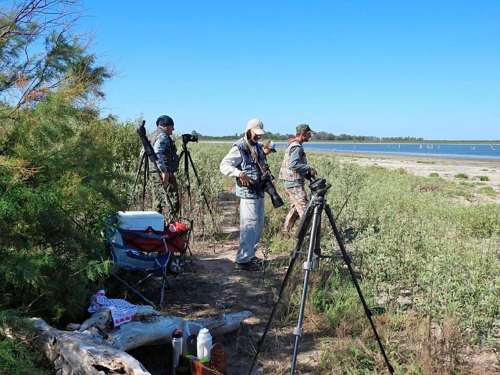 La observación de la fauna del Mar de Ansenuza es uno de los atractivos que convoca a visitantes de todo el país y el exterior.