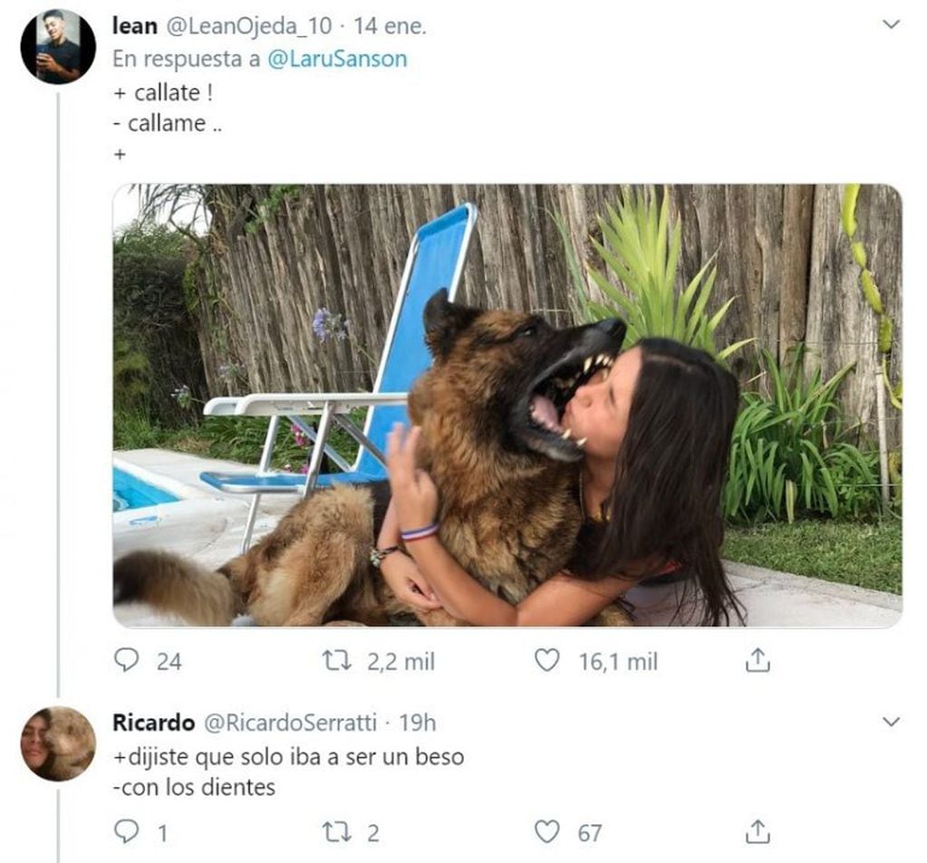 Los memes de la mordida del perro Kenai a Laru que se volvió viral (Foto: captura Twitter)