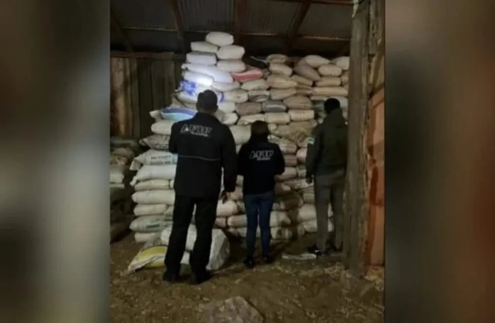 Secuestran toneladas de soja en allanamientos simultáneos en El Soberbio, 2 de Mayo y Eldorado.