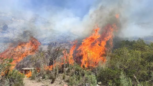 Incendios en Potrerillos