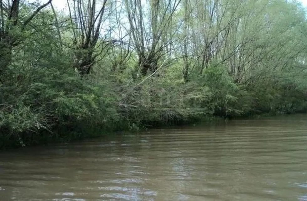 El arroyo Gambado, en el Delta del Río Paraná (Foto: web)