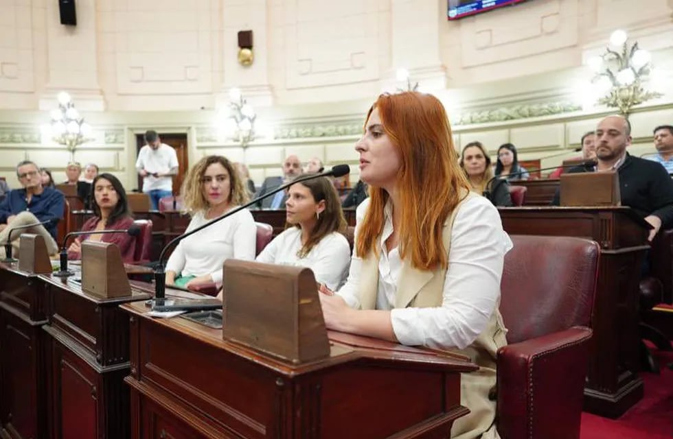Lionella Cattalini presentó un pedido de informes en la Cámara de Diputados de la provincia.