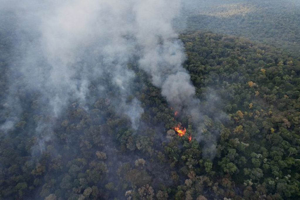 Uno de los focos de los  incendios que afectan la selva misionera es en la reserva de la UNaM en El Soberbio, en áreas de la Biósfera Yabotí