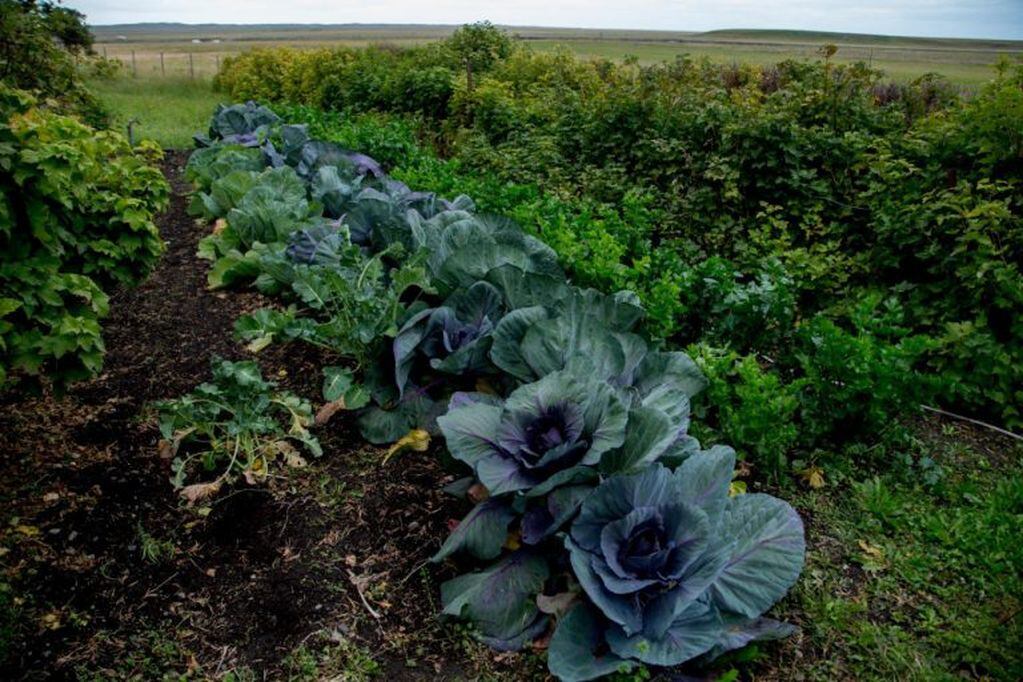 Capacitación en Hortícola en Tolhuin