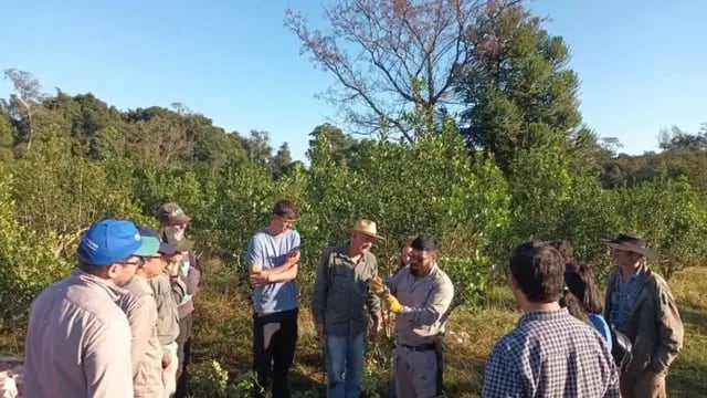 San Pedro: brindan charlas a productores sobre técnicas de cosecha para aumentar rendimiento