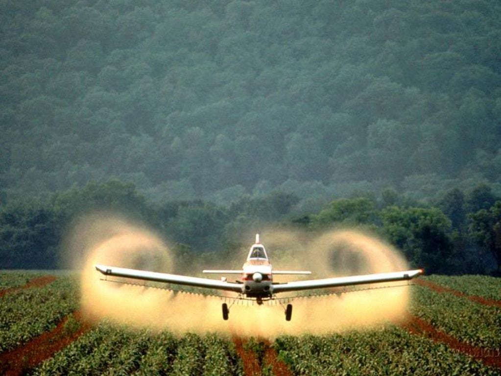 Agrotóxicos: los efectos en la salud de las fumigaciones sobre cultivos