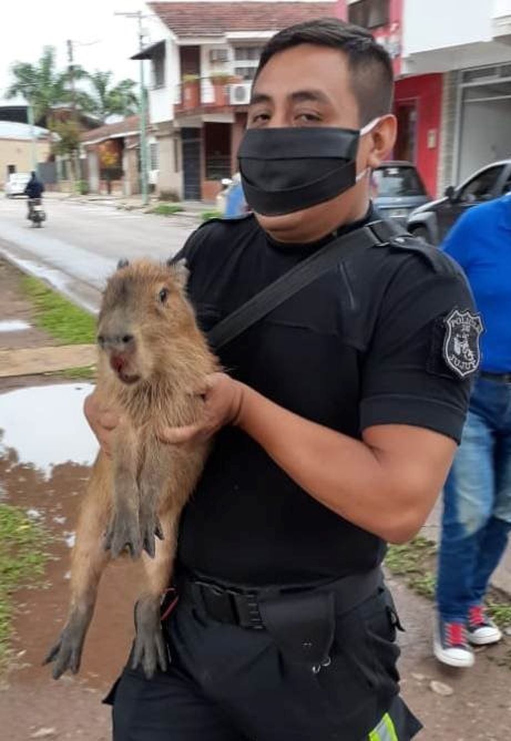 El sargento Fernández sostiene al manso animal, que ingresó a la ciudad desde la zona periférica.