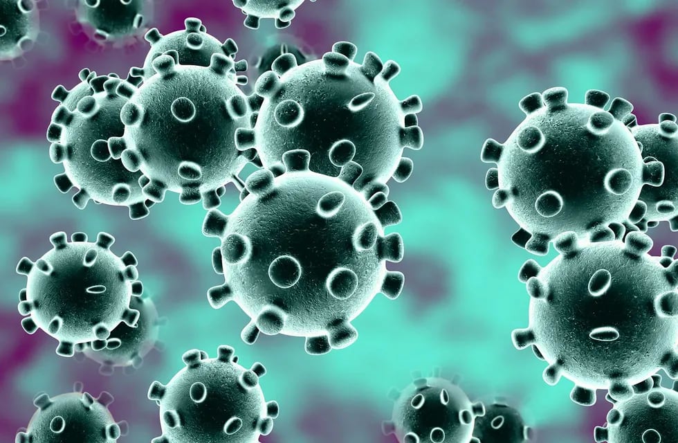 El Ministerio de Salud informó que hasta la fecha se han registrado 56.936 casos positivos de coronavirus en la Provincia. Gentileza