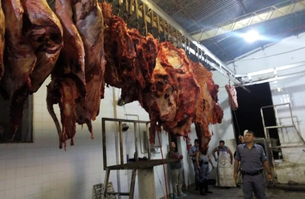 Más de mil kilos de carne faenada en forma clandestina fueron incautadas