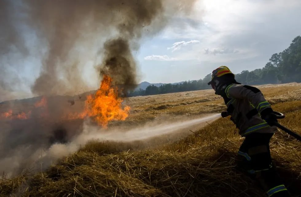 AME2941. ERCILLA (CHILE), 12/02/2019.- Bomberos trabajan en un sector afectado por un incendio forestal hoy, martes en Ercilla, región de la Araucaria, Chile. De acuerdo con datos gubernamentales, en lo que va del verano (diciembre a marzo) los incendios forestales han afectado una superficie de 41.742 hectáreas, un 39 % más que a igual fecha del año pasado, mientras la cantidad de siniestros alcanza a 4.206, un 6 % más. EFE/ CAMILO TAPIA chile ercilla  incendios forestales en chile