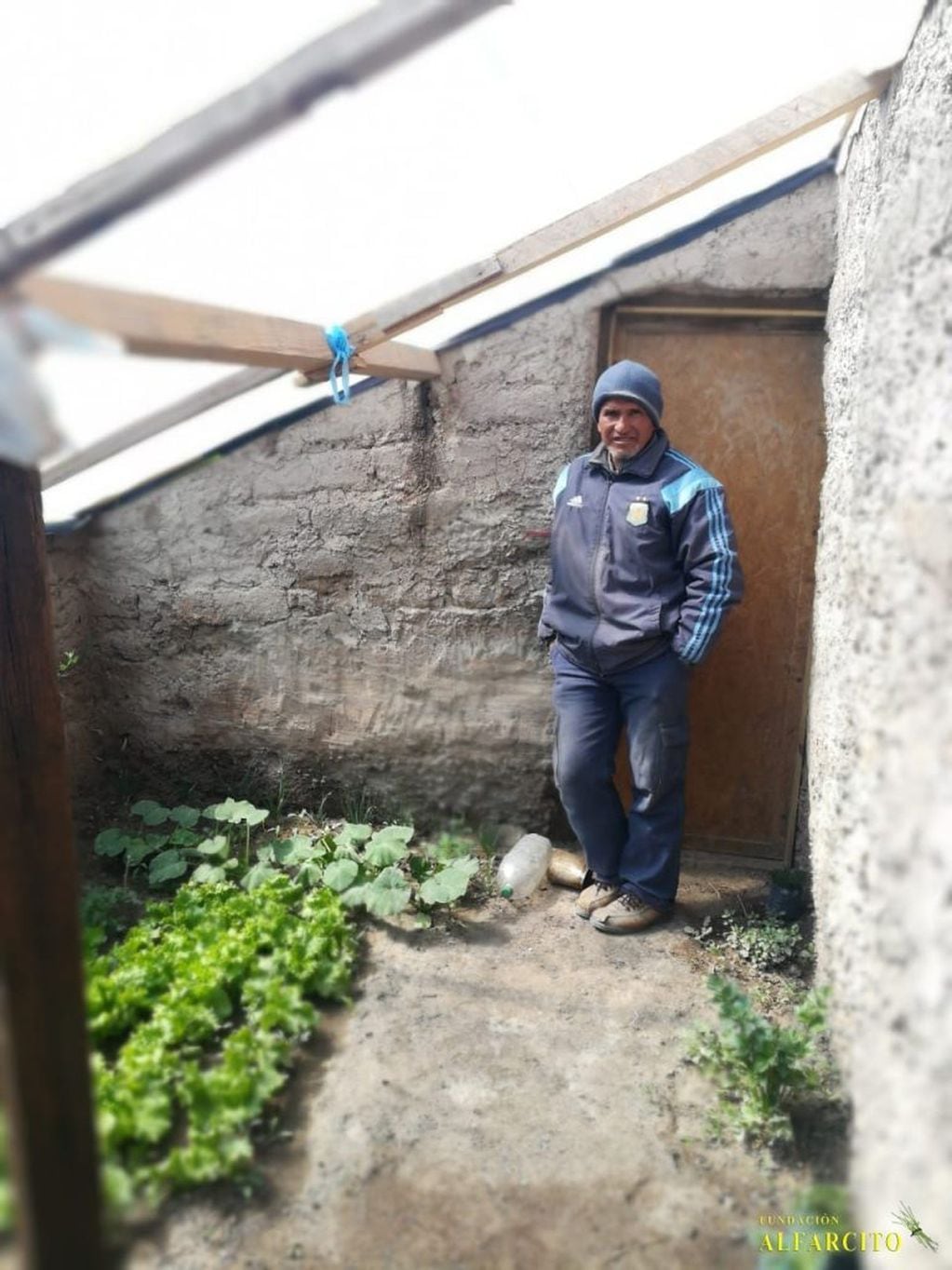 Un vecino de Alfarcito armó un invernadero para plantar verduras (Facebook Fundación Alfarcito)