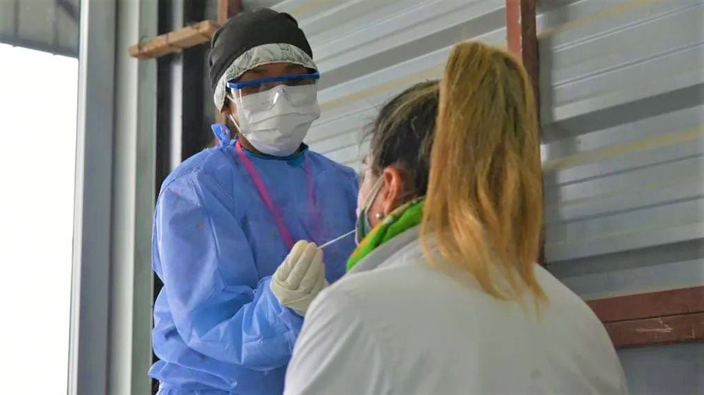 Este jueves se detectó 78 nuevos contagios en Jujuy, con lo que el número de casos activos de Covid-19 en la provincia volvió a crecer, alcanzando la cifra de 556 enfermos.