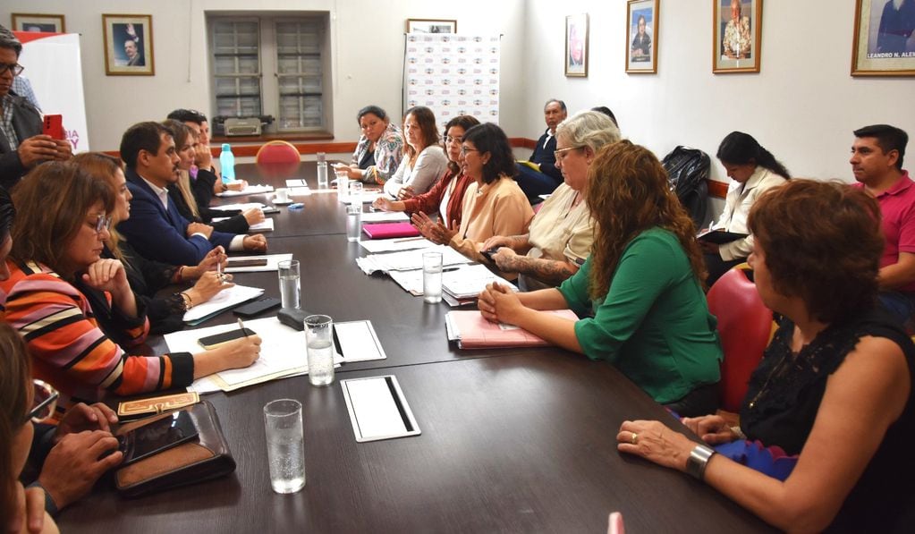 En el salón "Raúl Alfonsín" de la Legislatura tuvo lugar la reunión de la directora de Maternidad, Infancia y Adolescencia del Ministerio de Salud de Jujuy, Claudia Castro, y su equipo del programa nacional ENIA, con miembros de la Comisión de Salud.